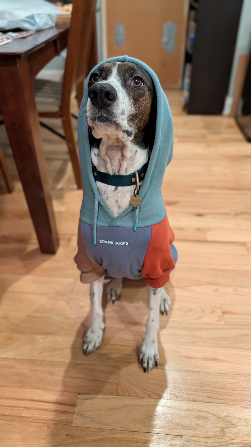 Customer photo review of Alpine Dog Hoodie