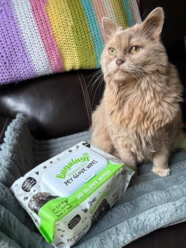 Customer photo review of Fragrance Free Glove Pet Wipes for Full Body, Bum & Paws (30)