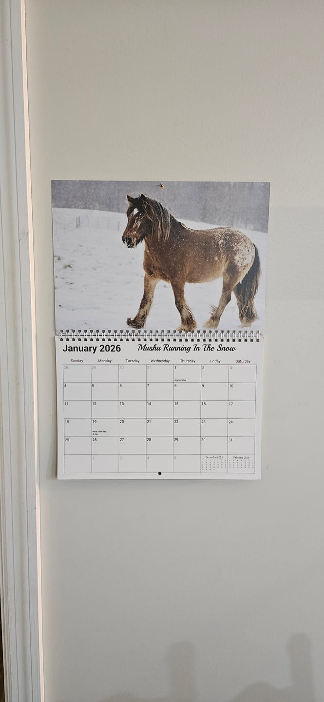 Customer photo review of Free Spirit Equestrian 2026 Calendar