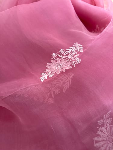 Customer photo review of Women's Lucknowi Handcrafted Pure Organza Silk Chikankari Saree - HONC0294650