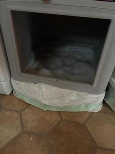 Customer photo review of 3 Month Supply - 2 Cats