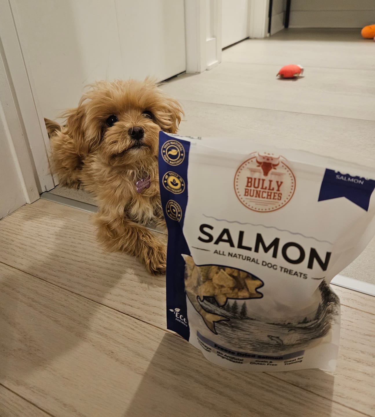 Customer photo review of Freeze Dried Flavour Bundle 100g / 3.5oz x3