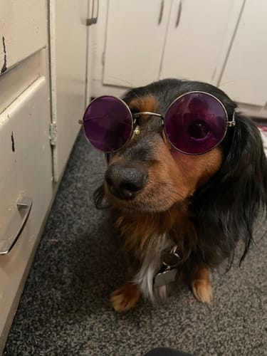 Customer photo review of Freedom Joint Drops