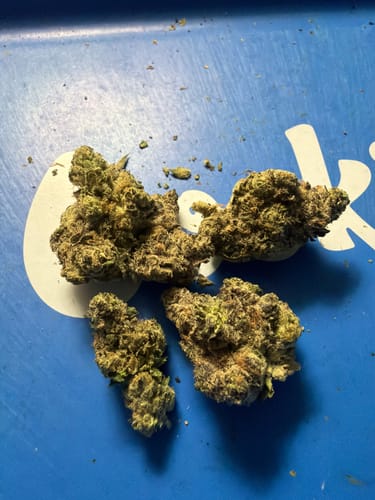 Customer photo review of Indoor Exotics - Hashburger - 14 Grams - Indica
