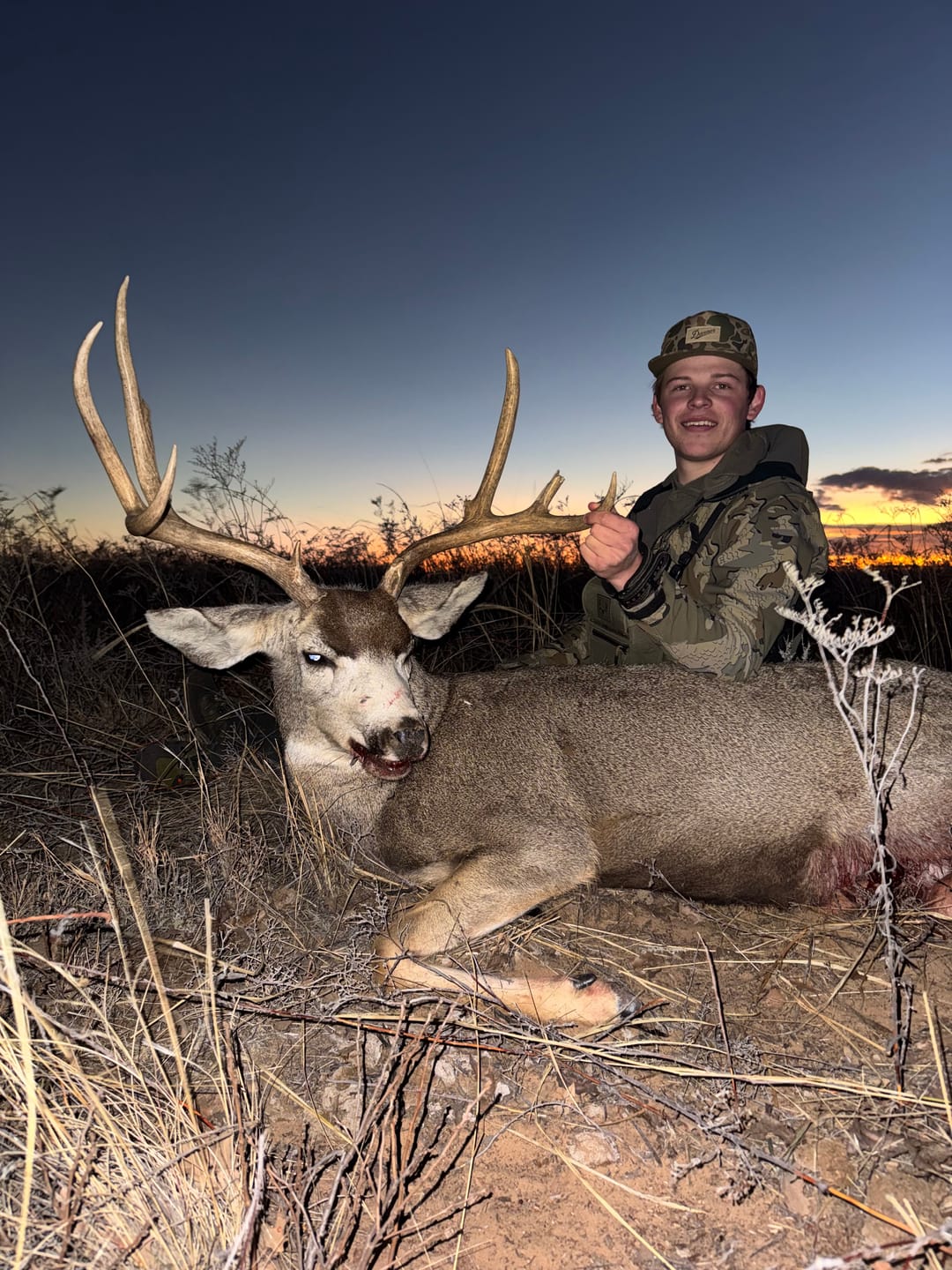 Customer photo review of The Herd Thread Box