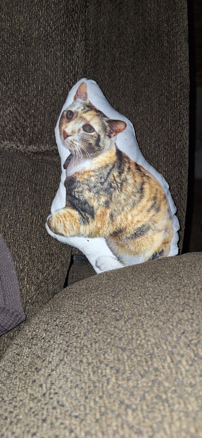 Customer photo review of Custom Dog Shaped Memorial Pillow for Pet Owners from Your Pet Picture