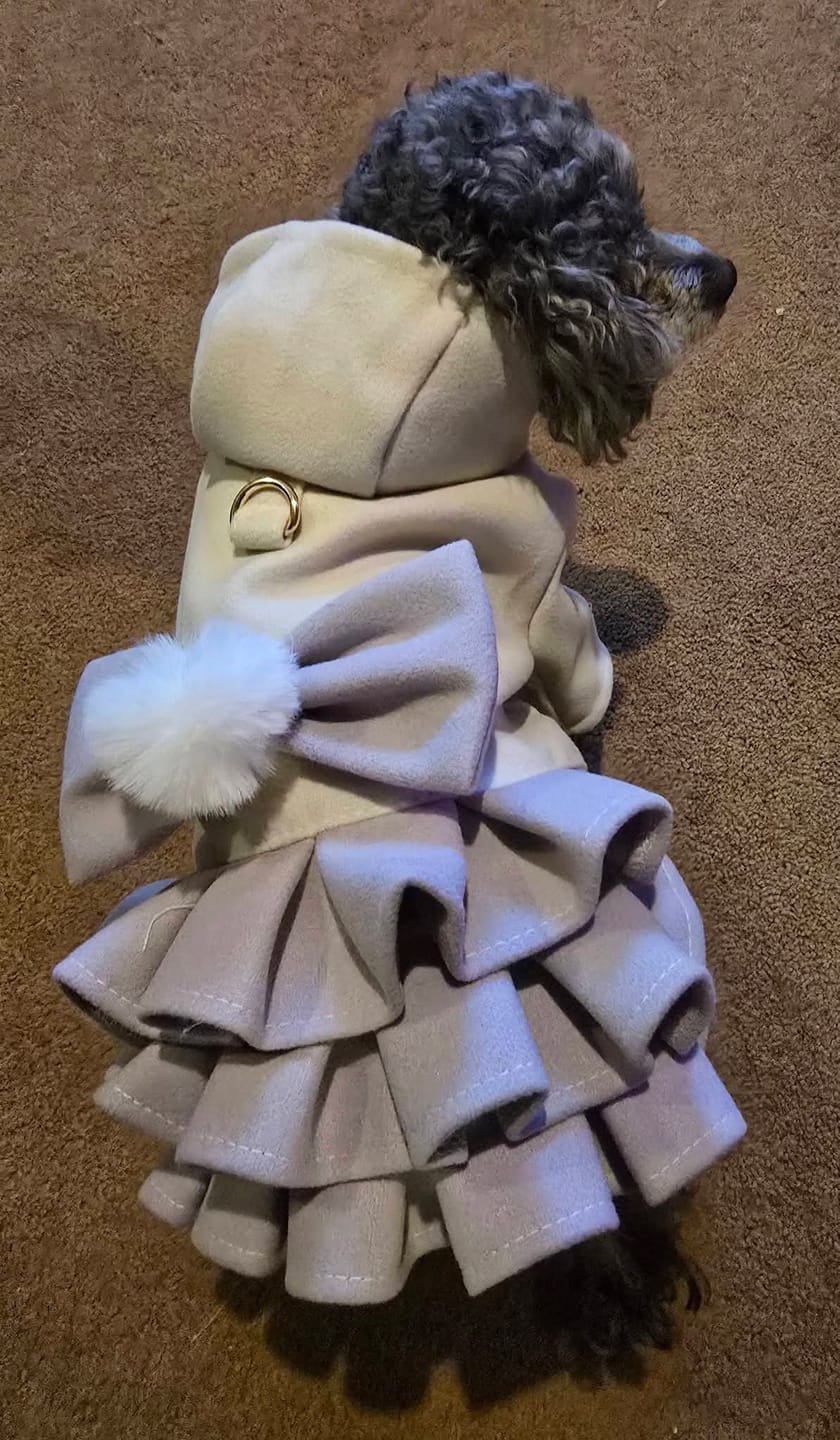 Customer photo review of Warm Fleece Bow Layered Dog Dress Jacket