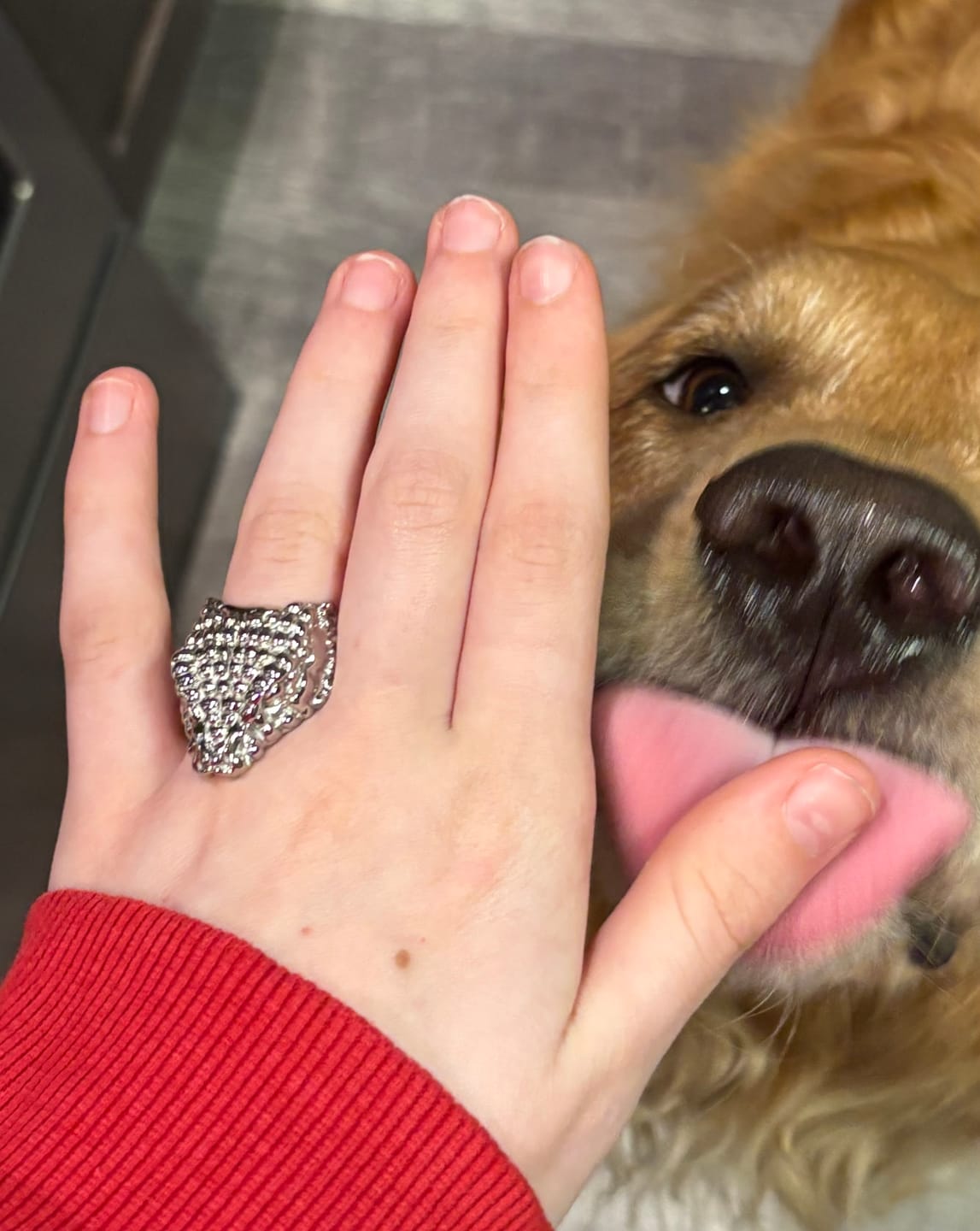 Customer photo review of COBRA RING