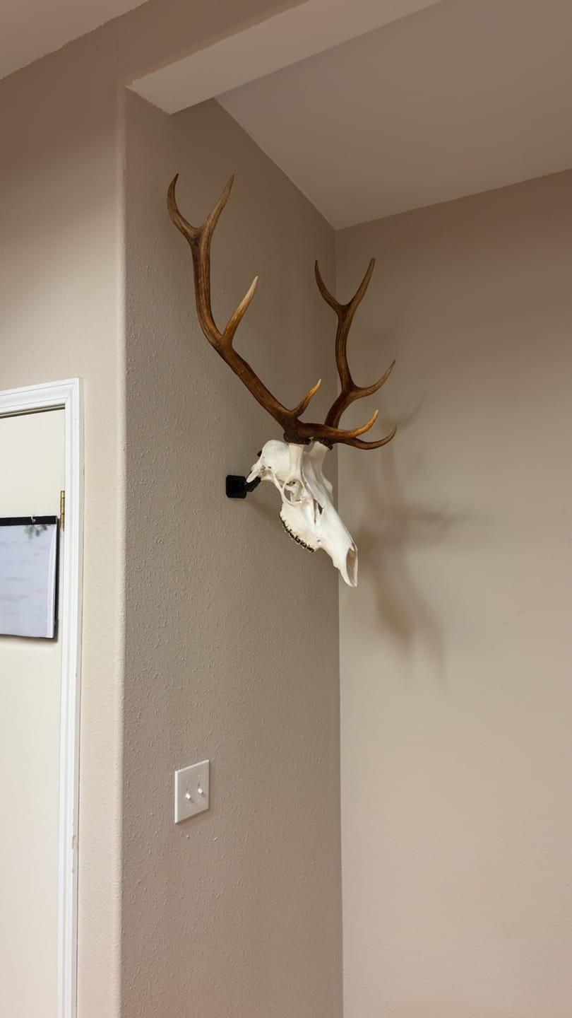 Customer photo review of SkulLok | Large Game