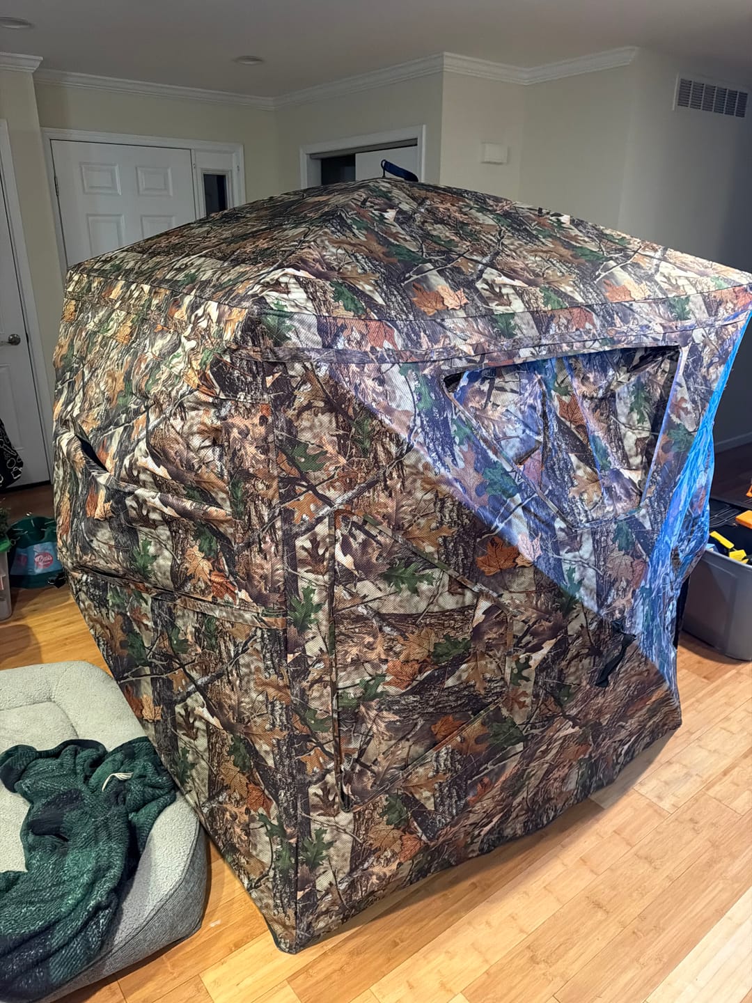 Customer photo review of VisST 270° See Through Ground Blinds | Pop Up Portable Blinds for 2 3 Person Deer Hunting with Silent Magnetic Door