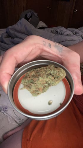 Customer photo review of Tiger's Milk THCA Flower