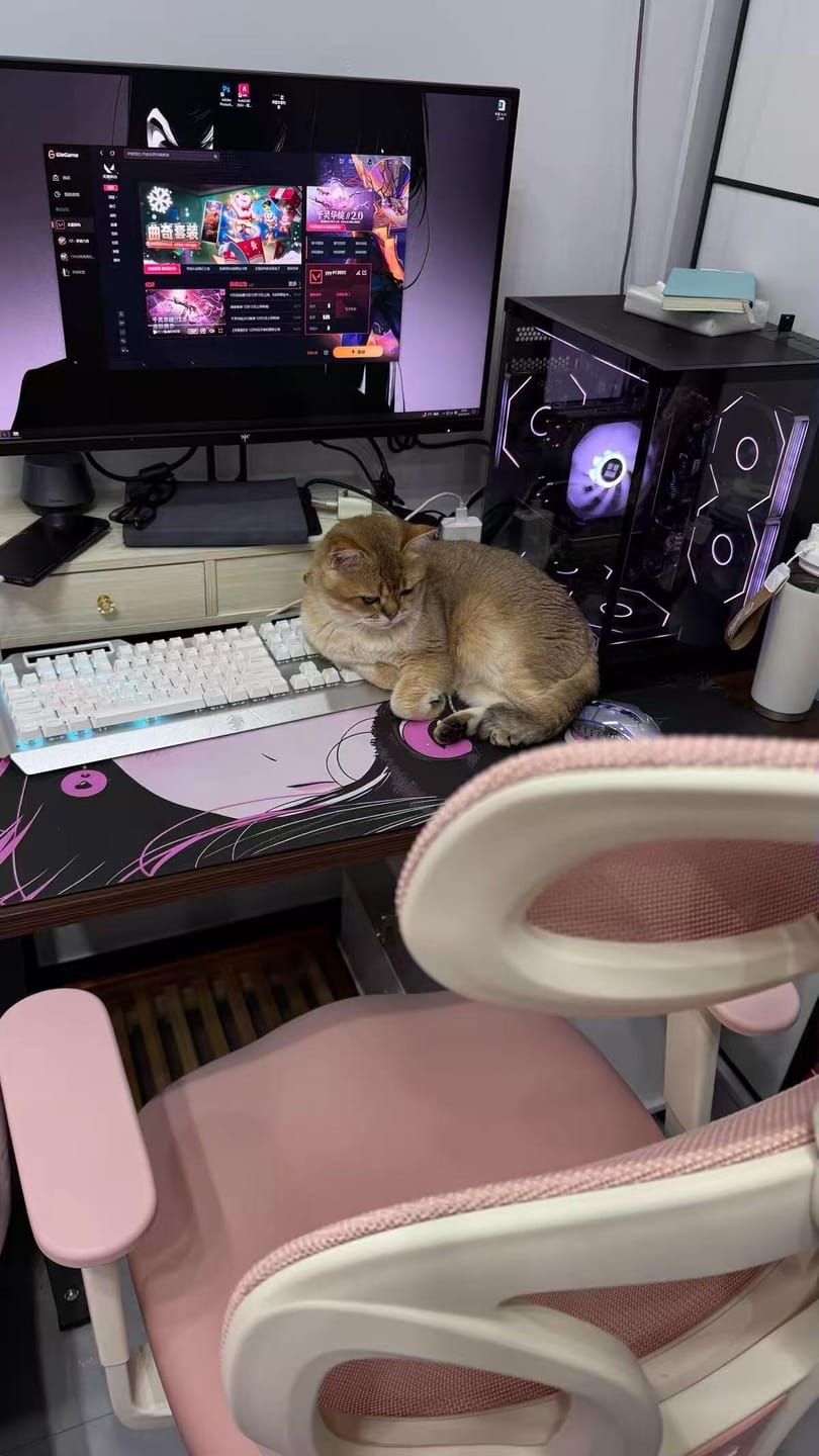 Customer photo review of S3 Premium Stylish Office Chair