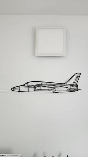 Customer photo review of Gnat Silhouette Metal Wall Art