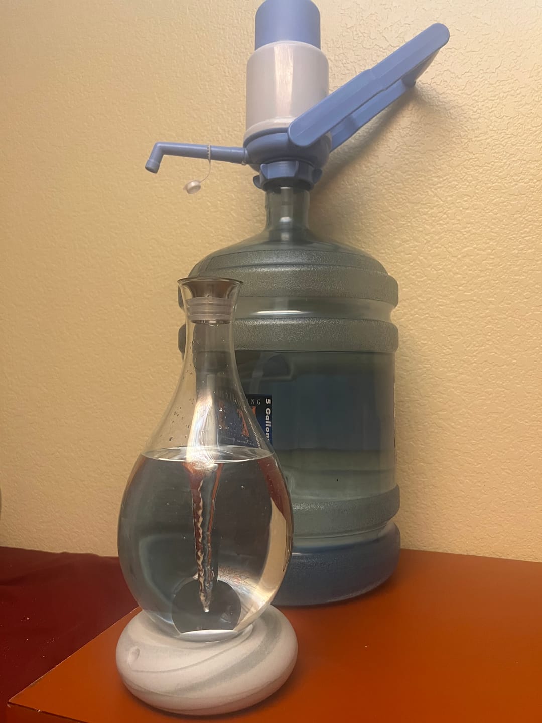 Customer photo review of Best Selling Starter Kit