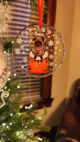 Customer photo review of Christmas pet photo - Personalized Glass Ornament