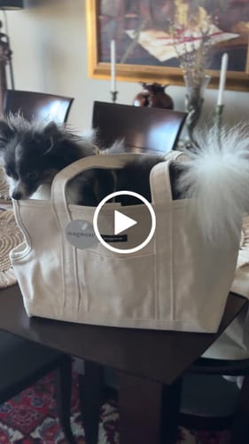 Customer video review of Painter's Carrier