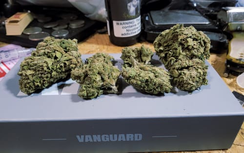 Customer photo review of THCA Queen