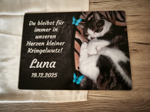 Customer photo review of Katzen Gedenktafel mit Foto & Spruch (UV- & Wetterfest)