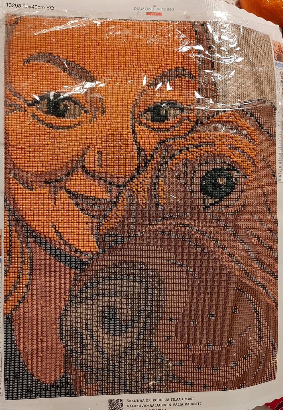Customer photo review of Diamond Painting -maalaus omasta kuvasta