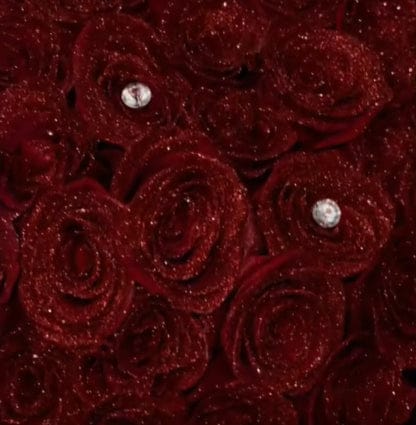 Customer photo review of Glitter Rose Bouquet Gift for Girlfriend & Boyfriend | Couple Anniversary Gift
