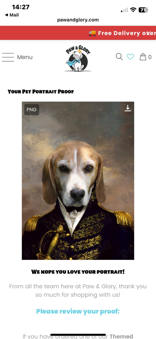 Customer photo review of The General: Custom Pet Portrait