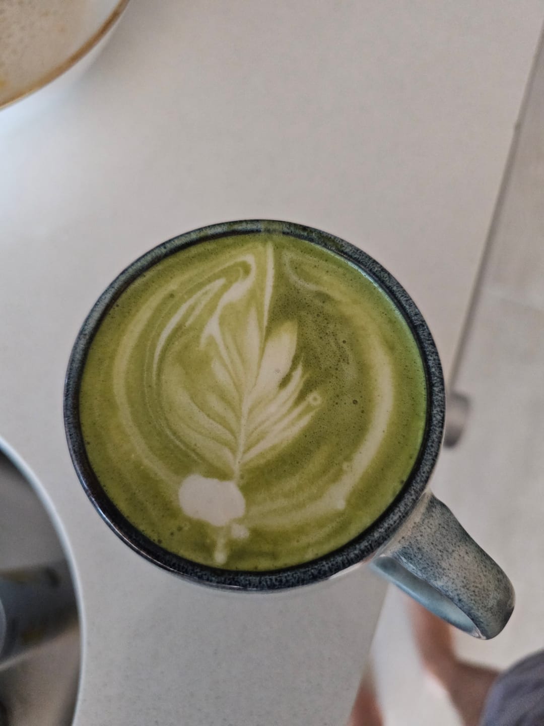 Customer photo review of Premium Matcha Latte