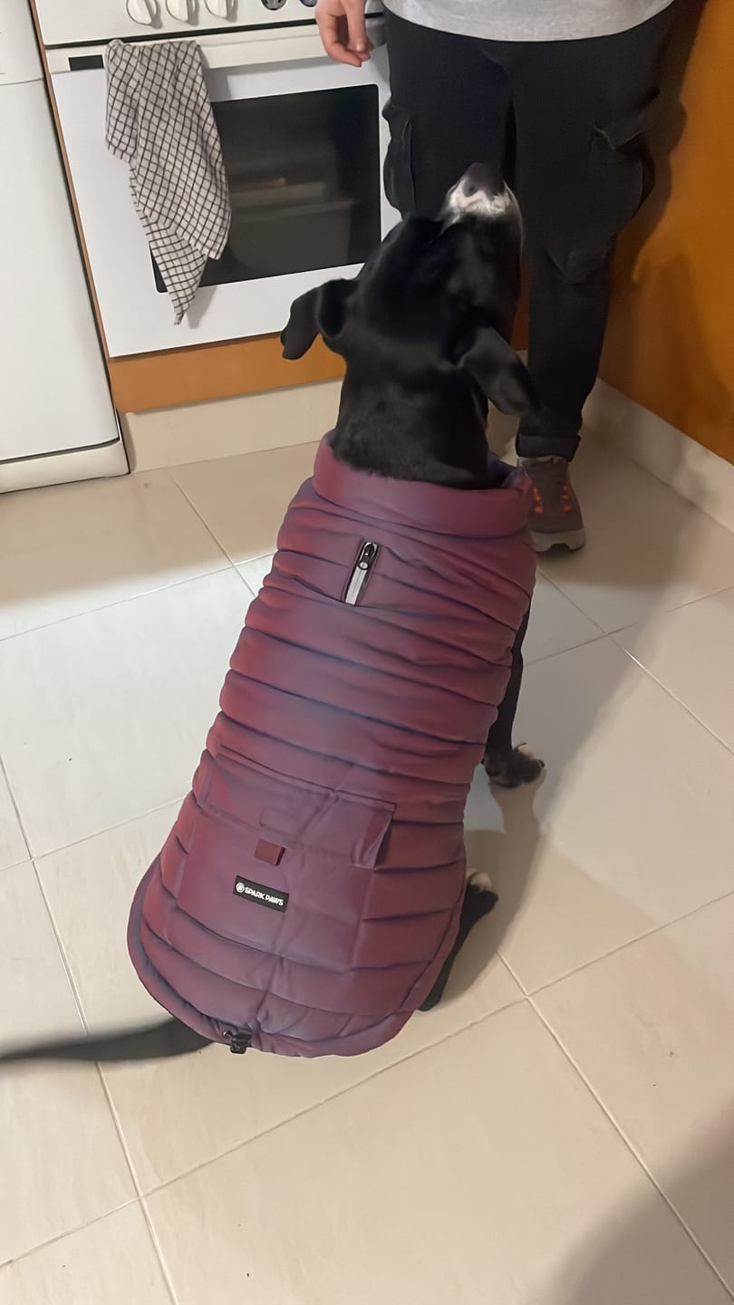 Customer photo review of WarmShield Water-Resistant Jacket - Cosmic