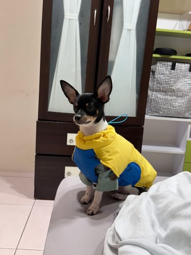 Customer photo review of PETTRIP 套頭棉背心