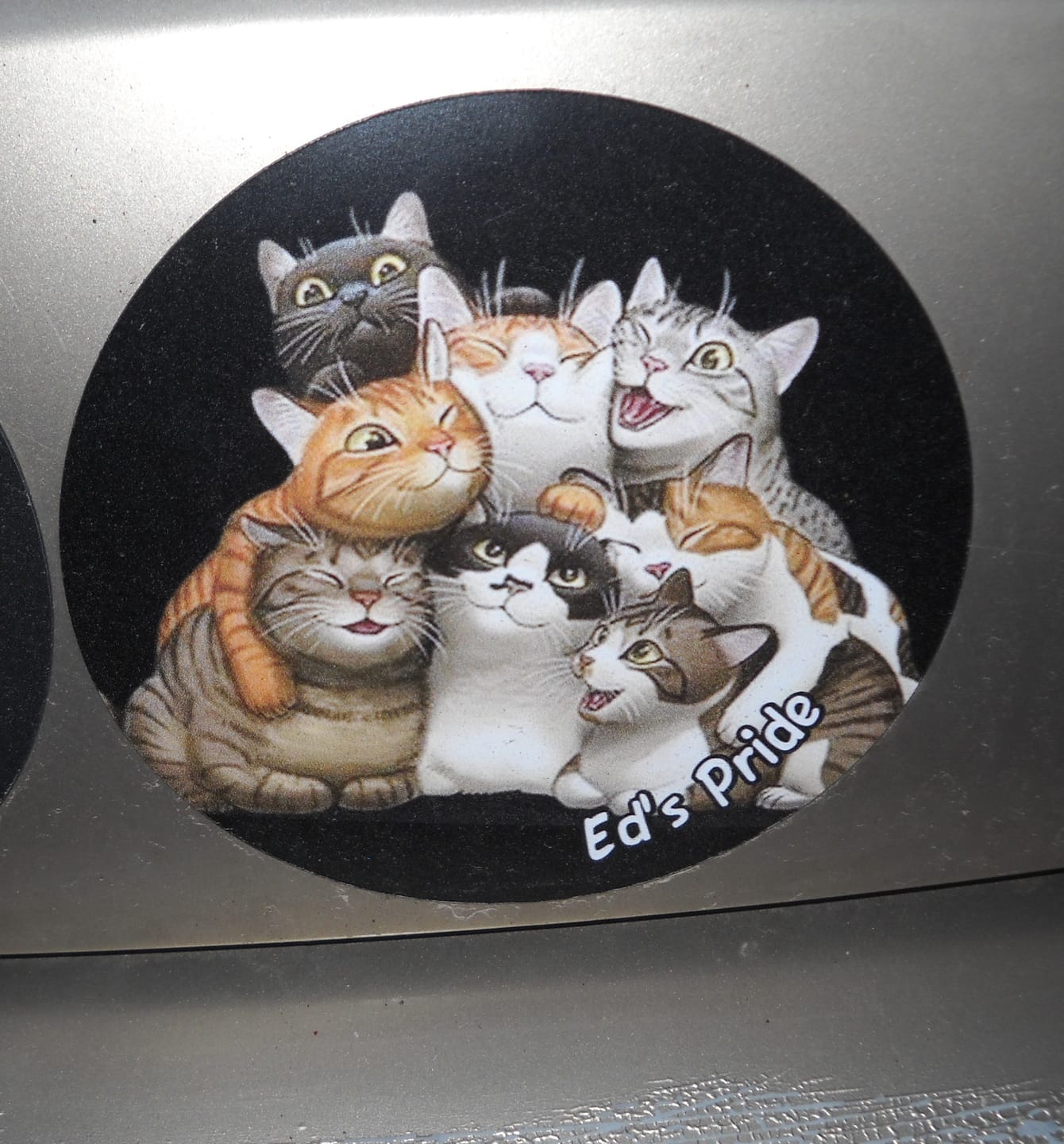 Customer photo review of Your photo - Personalized Car Magnet