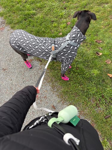 Customer photo review of Biothane Traffic Handle Dog Leash
