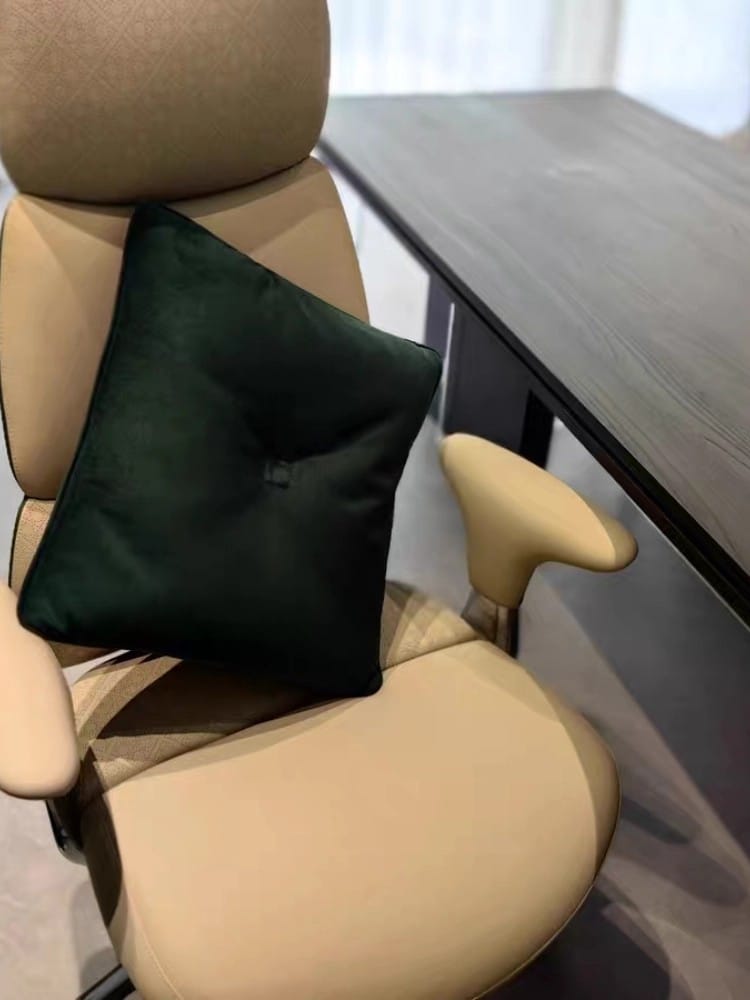 Customer photo review of Nyla Executive Leather Office Chair
