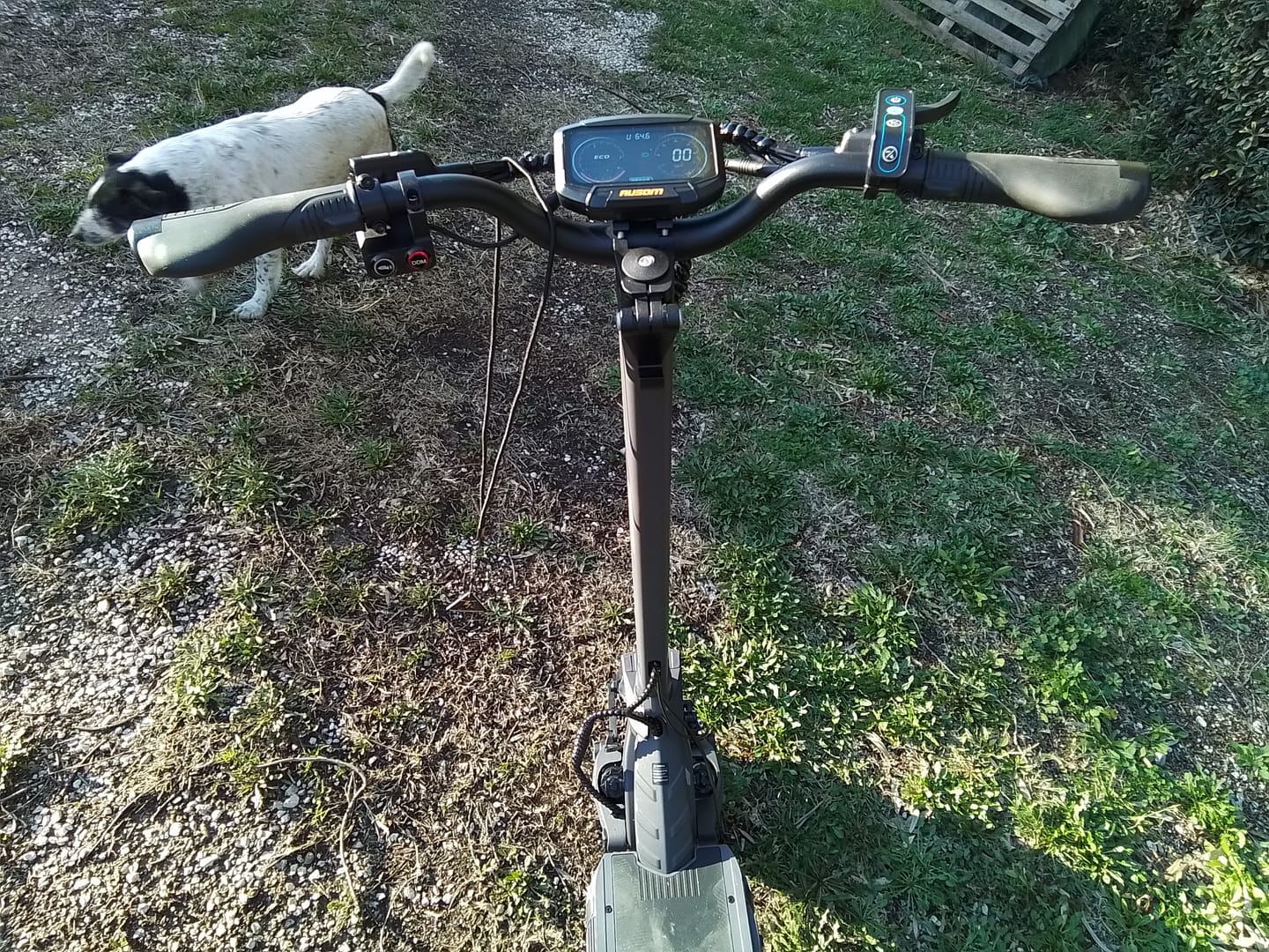 Customer photo review of Ausom F1 Max Electric Scooter