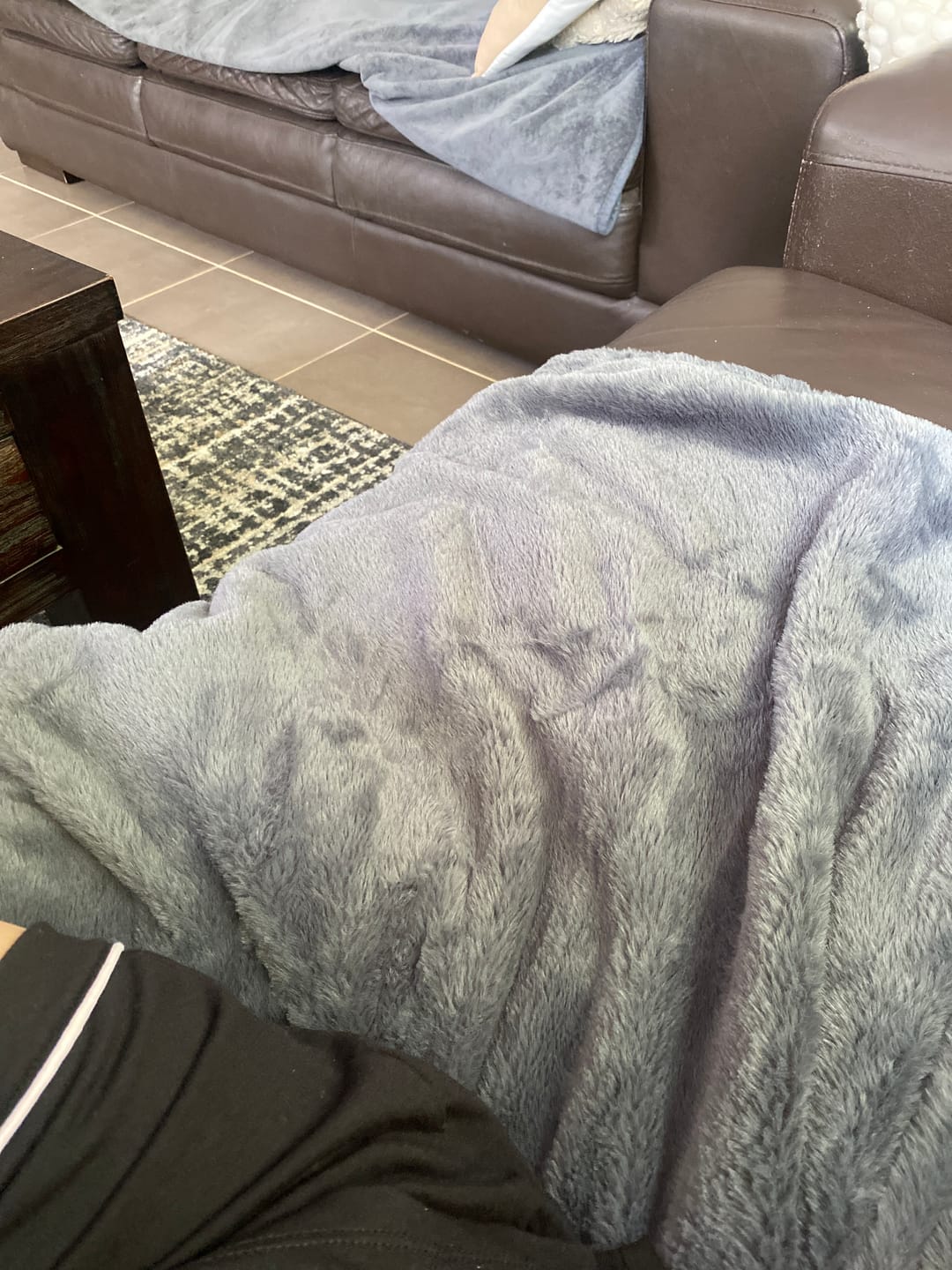 Customer photo review of Furlush Waterproof Splash Blanket™ - Stormy