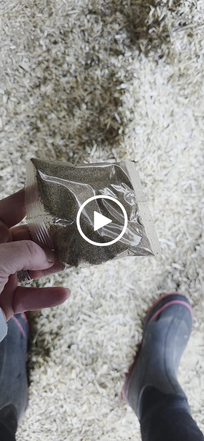 Customer video review of GrubTerra Coop Refresher. Keeps The Coop Smelling Fresh For Longer!