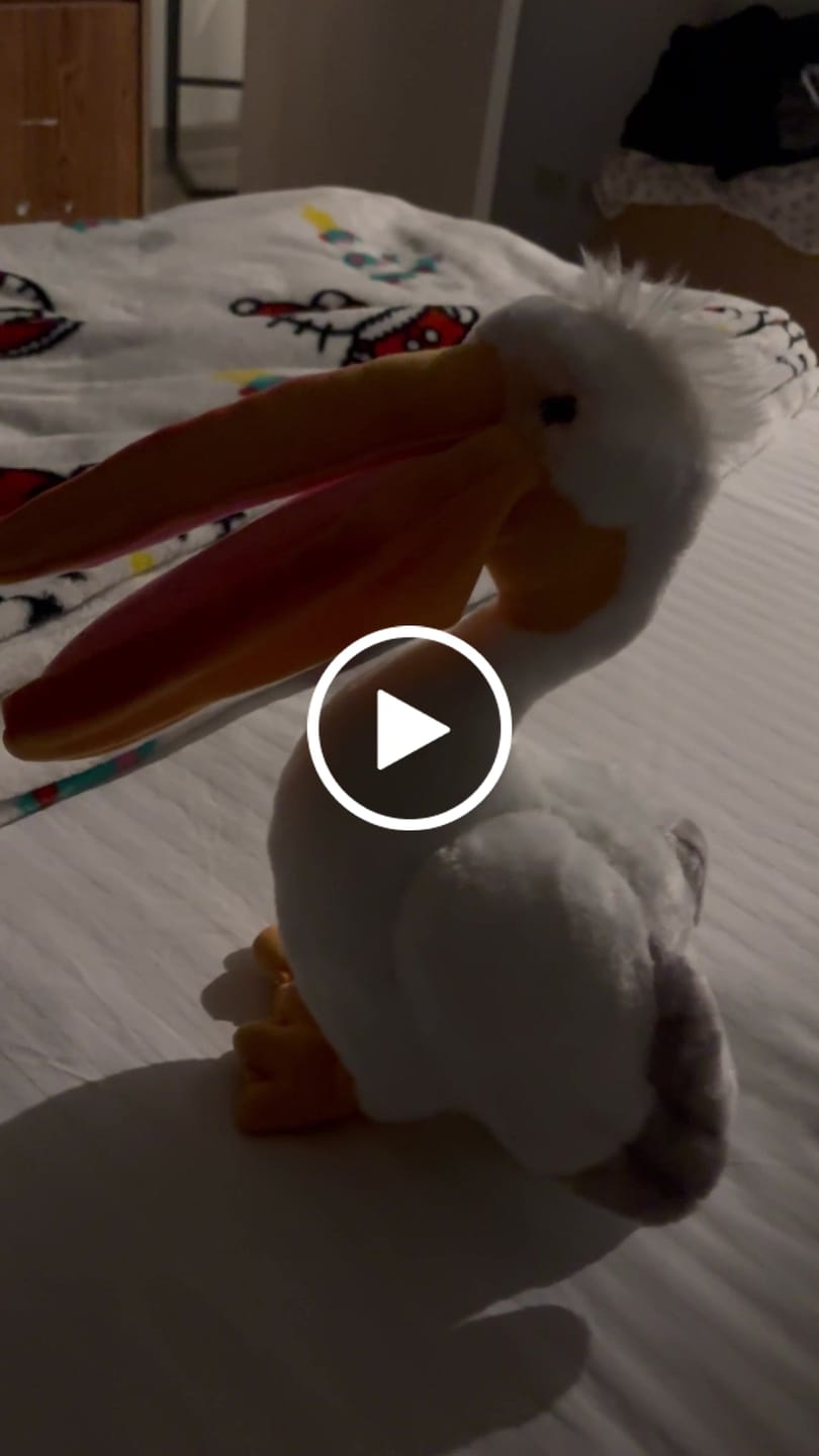 Customer video review of Pelican Bird Soft Stuffed Plush Toy