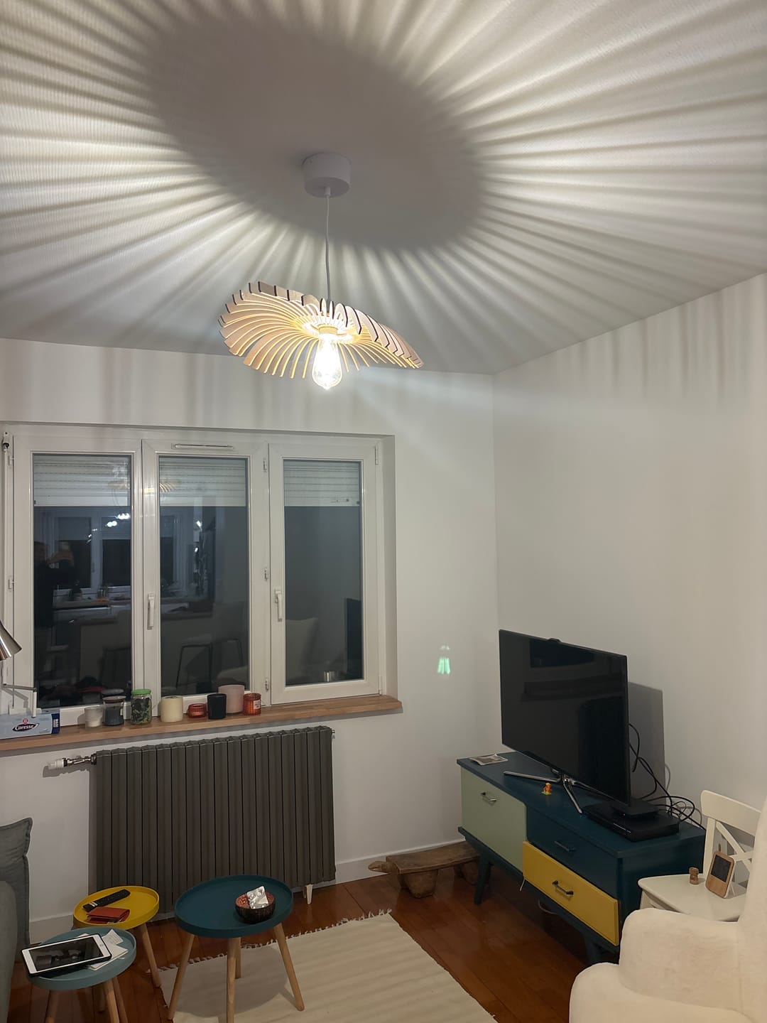 Customer photo review of Cygne | Suspension