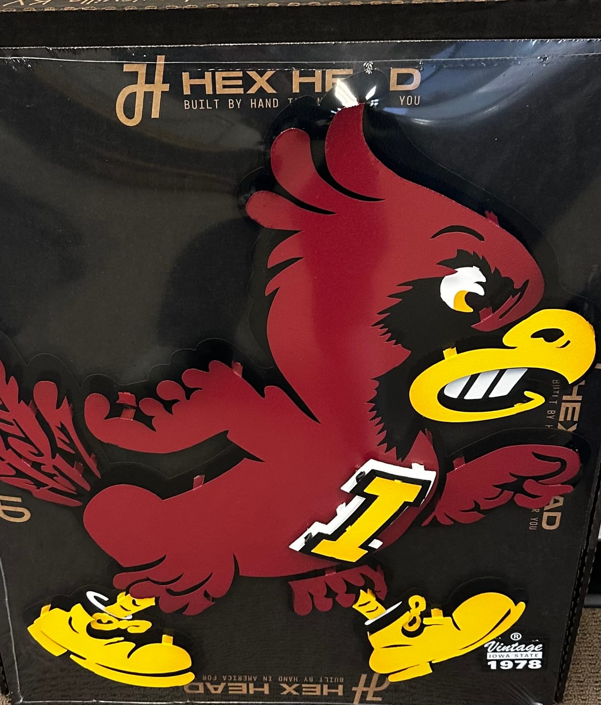 Customer photo review of Iowa State Cyclones VAULT "CY" 3D Vintage Metal Wall Art