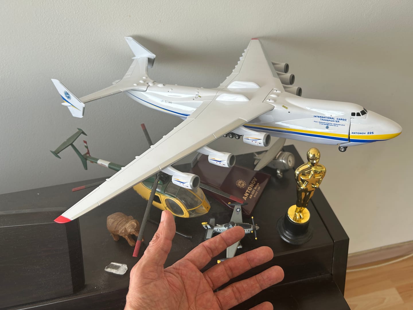 Customer photo review of Antonov AN225 Mriya - 42CM