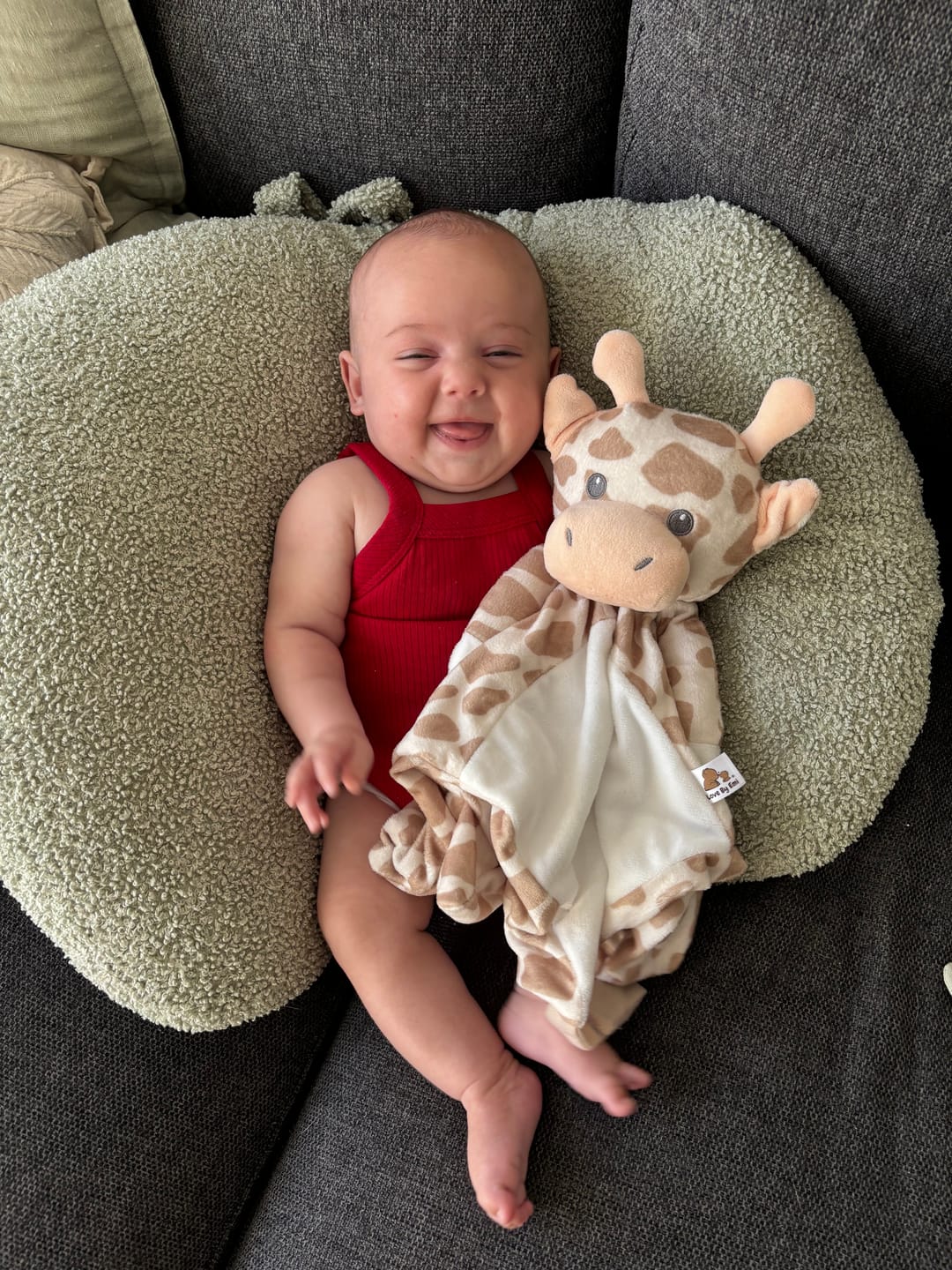 Customer photo review of Shay the Giraffe