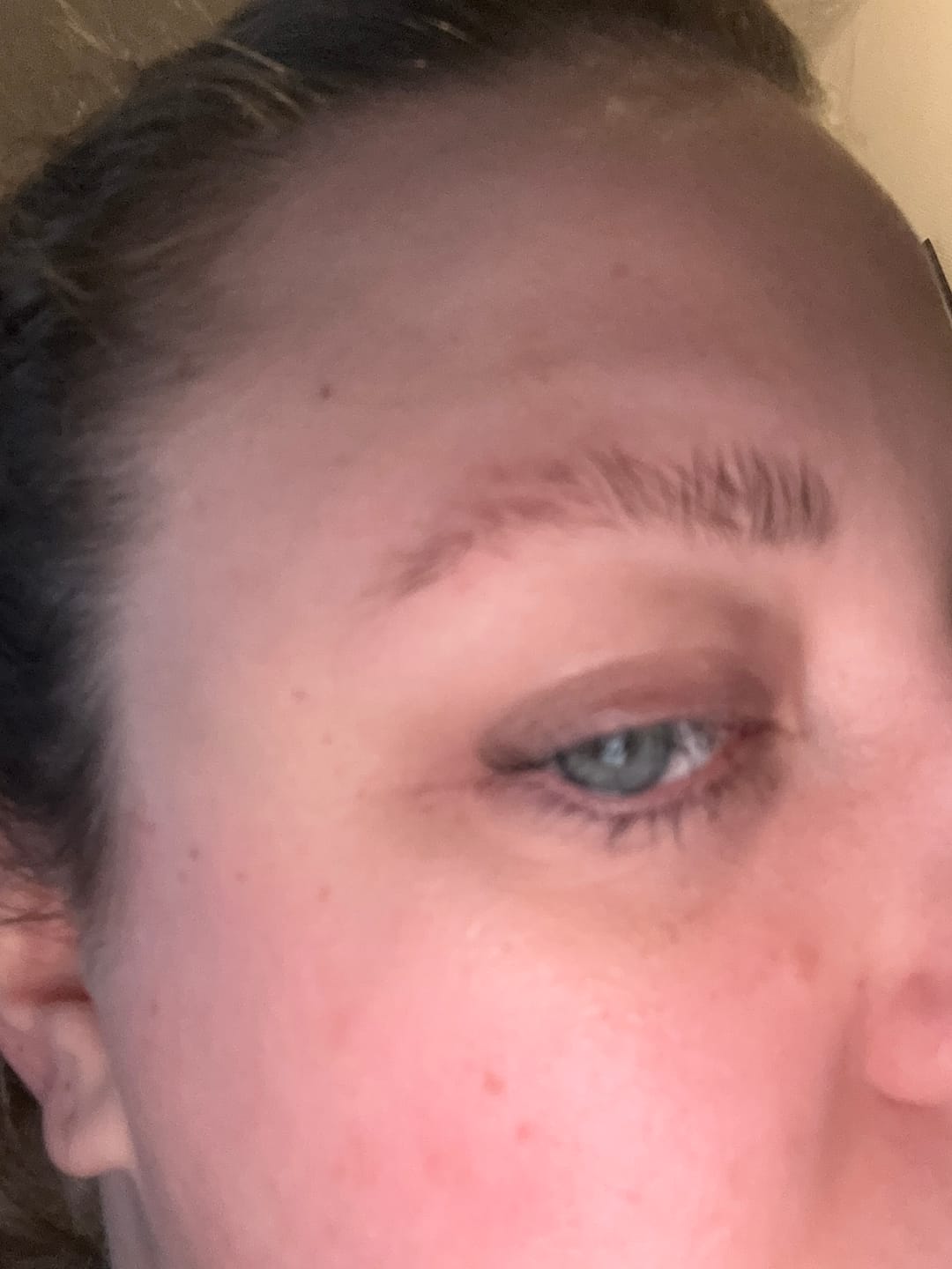 Customer photo review of HOLD UP! PLUS Brow Styling Wax