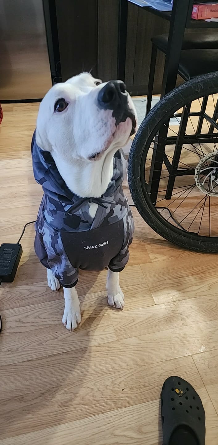 Customer photo review of Grey Camo Human Hoodie
