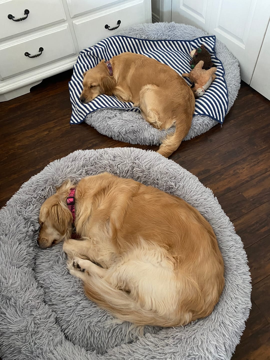 Customer photo review of Brooklyn® Deep Sleep Pet Bed