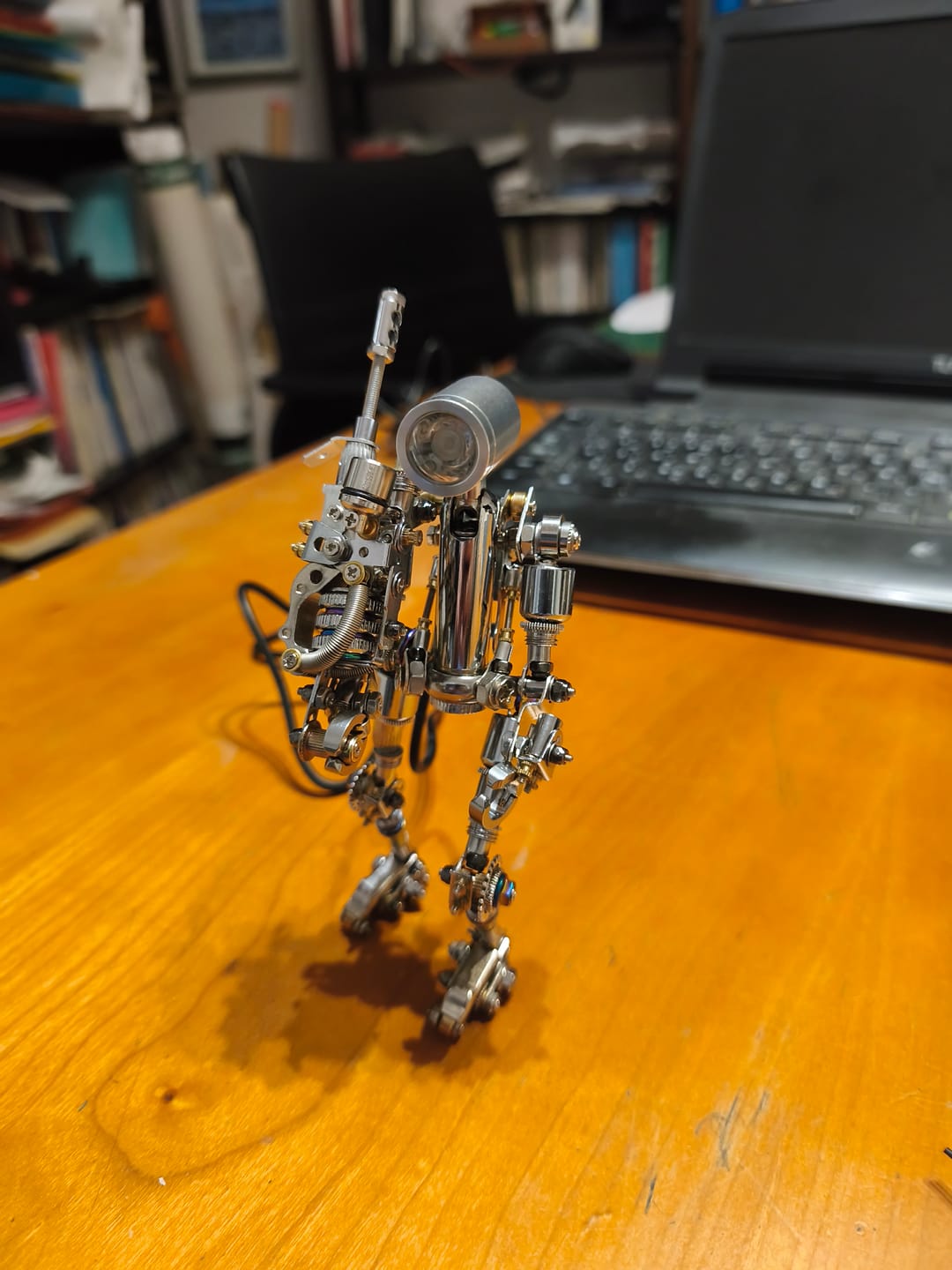 Customer photo review of Terminator M