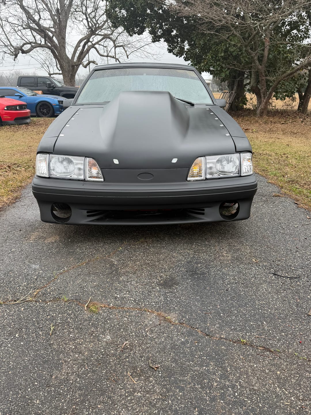 Customer photo review of 79-93 Fox Body Mustang Front Dzus Rail LX Bumper