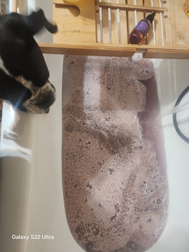 Customer photo review of PERSEPHONE "Queen of the Underworld" Coconut Milk Bath