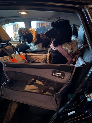 Customer photo review of RuffRover - Single Back Seat Extender