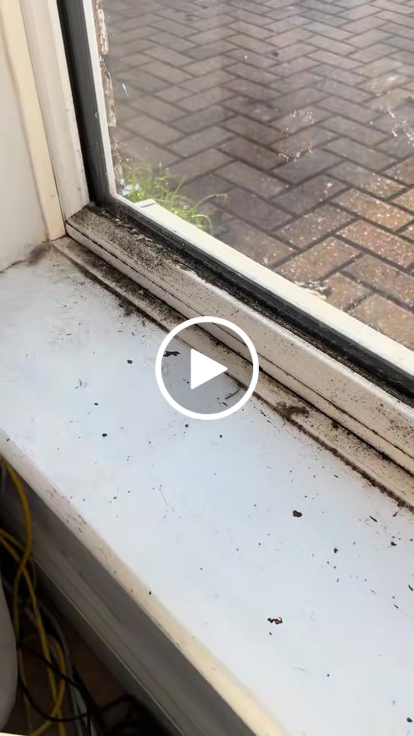 Customer video review of Genie Room Cleaner