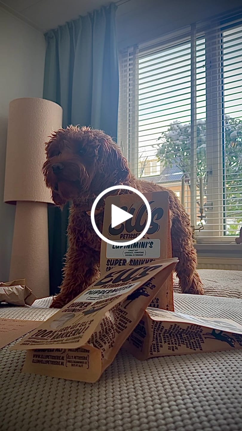 Customer video review of Puppernoten | Kleine hondensnacks