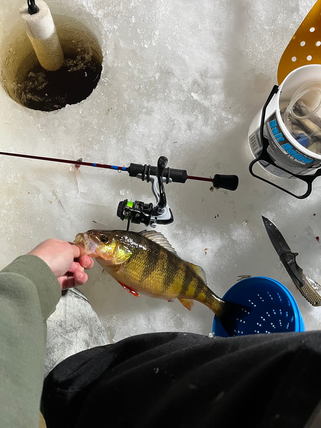 Customer photo review of Custom Power Noodle