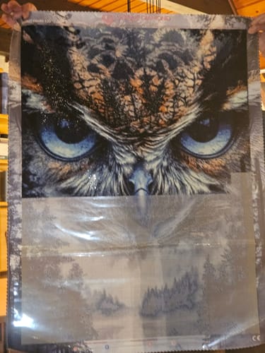 Customer photo review of 5D Diamond Painting – Mystische Eule im Nebelwald